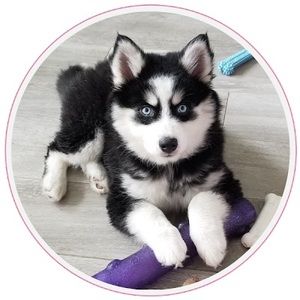 Meet your Posher, Giuliana